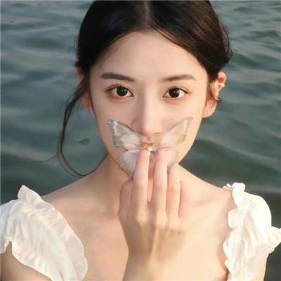苍蝇